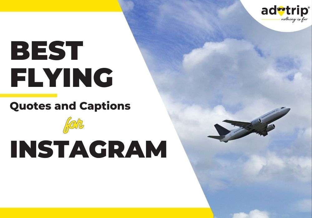 Best Flying Quotes And Captions For Instagram